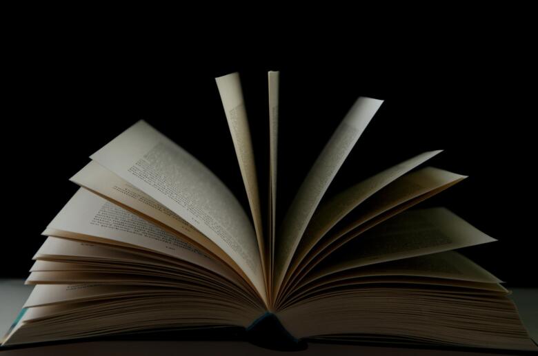 中学生におすすめのプログラミング良書本2選